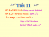 Âm nhạc 7 tiết 11