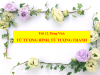 Tiết 12: Từ Tượng Hình Từ Tượng Thanh